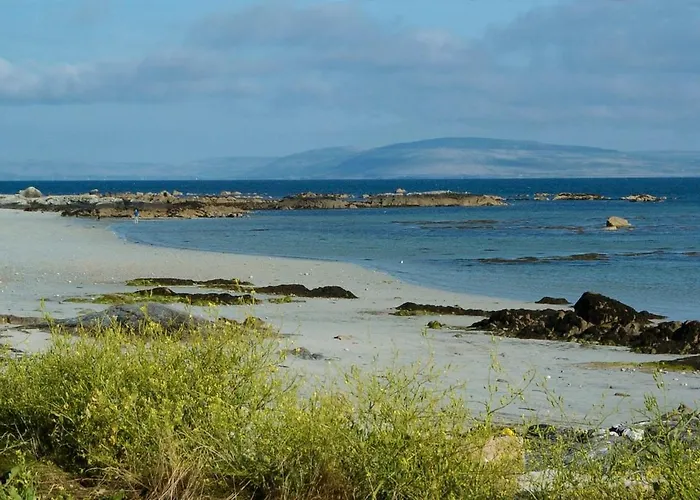 Paddy Staffs * Inverin